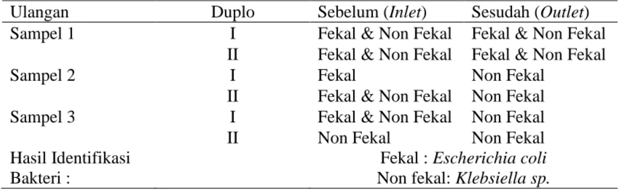 Tabel  2.  Identifikasi  Jenis  Bakteri  Coliform  yang  Terdapat  pada  Feses      Sapi  Potong  Sebelum (inlet) dan Sesudah (outlet)  Proses  Pembentukan Biogas  dalam  Reaktor Tipe Fixed-Dome