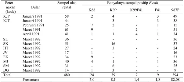 Tabel 2.  Hasil deteksi antigen pili dari  E.coli  yang di isolasi dari anak babi penderita  diare  Pada peternakan di daerah Tangerang,  Medan dan sekitarnya
