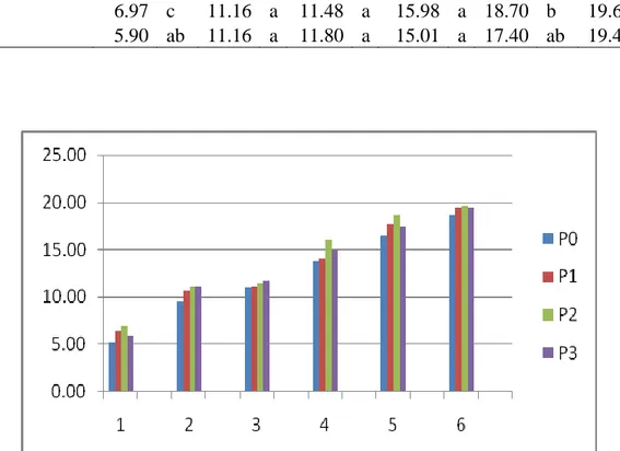 Tabel  2  dan  Gambar  2  diatas  Menunjukkan  bahwa  jumlah  daun  tanaman terong pada pengukuran I, II dan  III  terjadi  perbedaan  nyata  antara  P3  dengan  P0,  P1  dan  P2