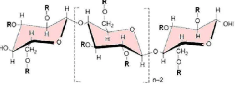 Gambar 2.2.Struktur kimia HPMC 