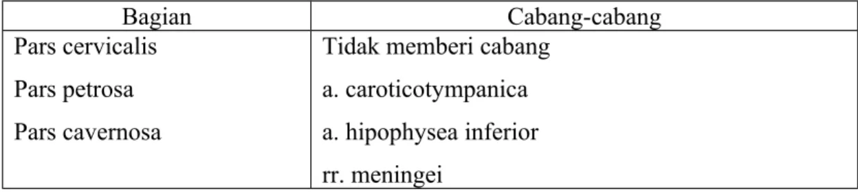 Tabel dibawah menunjukan ringkasan pembagian dan cabang-cabang dari a.carotis  interna.