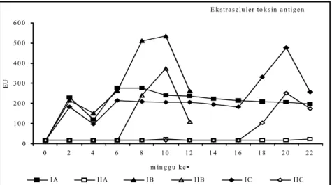 Gambar 3.  Respon antibodi kuning telur ayam yang diimunisasi antigen sel utuh dan  yang tidak terhadap  antigen ekstraseluler toksin (ET ) 
