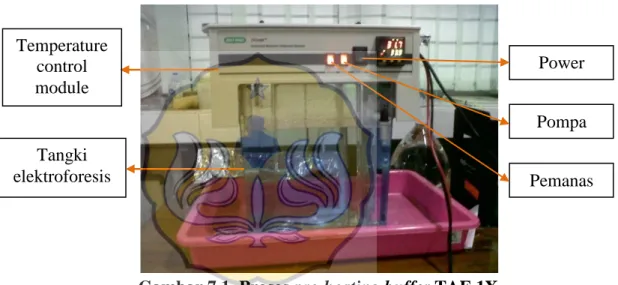 Gambar 7.1. Proses pre-heating buffer TAE 1X 