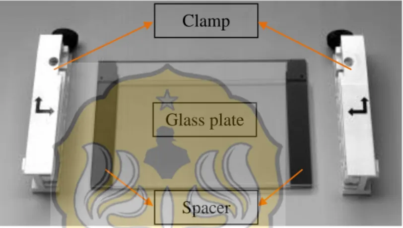 Gambar 7.2. Posisi clamp, glass plate dan spacer yang akan dirakit 