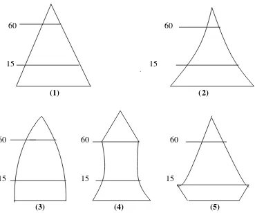 Gambar 2.3 Bentuk - Bentuk Piramida Penduduk 