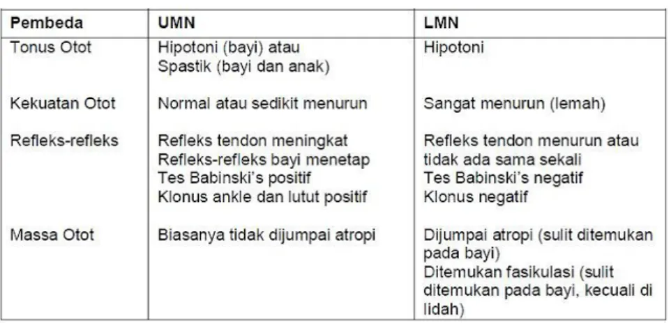 Tabel 5. Refleks fisiologis dan superfisial1,3