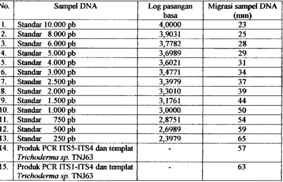 Tabel 3. Migrasi produk amplifikasi PGR DNA Trichoderma sp. TNJ63 dan  standar DNA pada gel elektroforesis