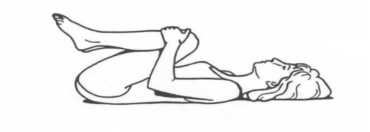 Gambar 1.2 Teknik Latihan II William Flexion Exercise c)  Latihan III (double knee to chest)