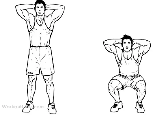 Gambar 1.7 Teknik Latihan VII William Flexion Exercise