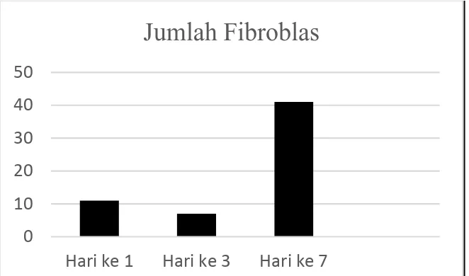 Tabel 1. Jumlah, Rerata dan Standar Deviasi (SD) Fibroblas pada Pulpa Terbuka Hari 1, 3, dan 7 