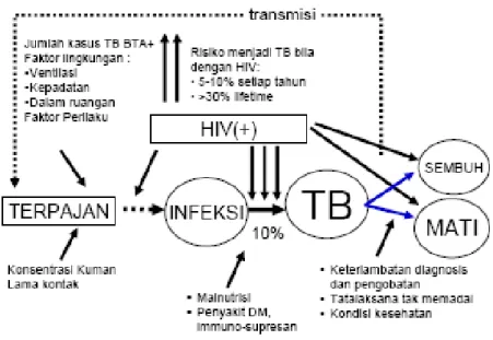 Gambar II. Faktor Risiko Kejadian TB 6   