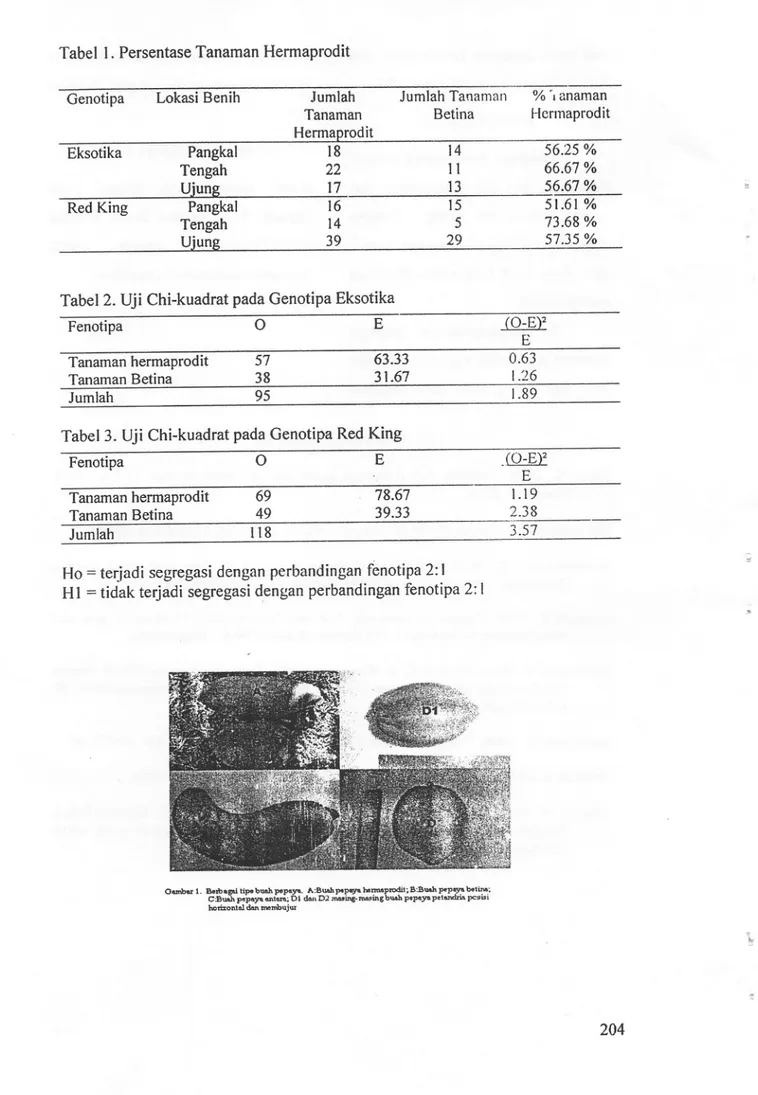 Tabel 1. Persentase Tanaman Hermaprodit