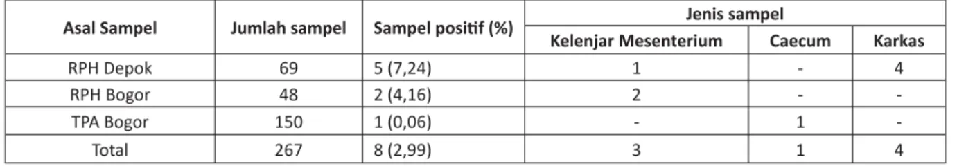 Tabel 1. Hasil Pemeriksaan Salmonella dari Berbagai Organ Asal RPH dan TPA di Bogor. 