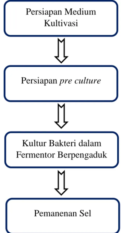 Diagram Alir Percobaan: 