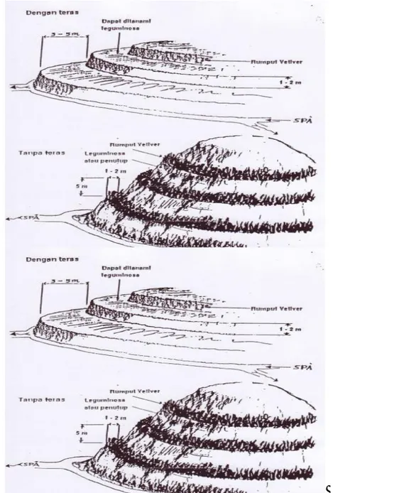 Gambar 2.  Pengaturan Bentuk Timbunan Low Grade 