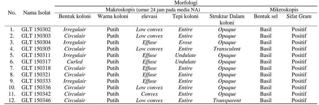 Tabel 4.1.  Data morfologi isolat bakteri dari tanah aliran pembuangan limbah tahu suhu 30 o C