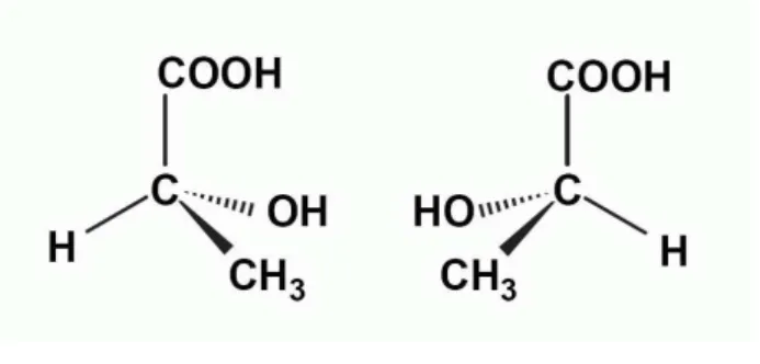 Gambar 4.4 Stereoisomer asam laktat. 