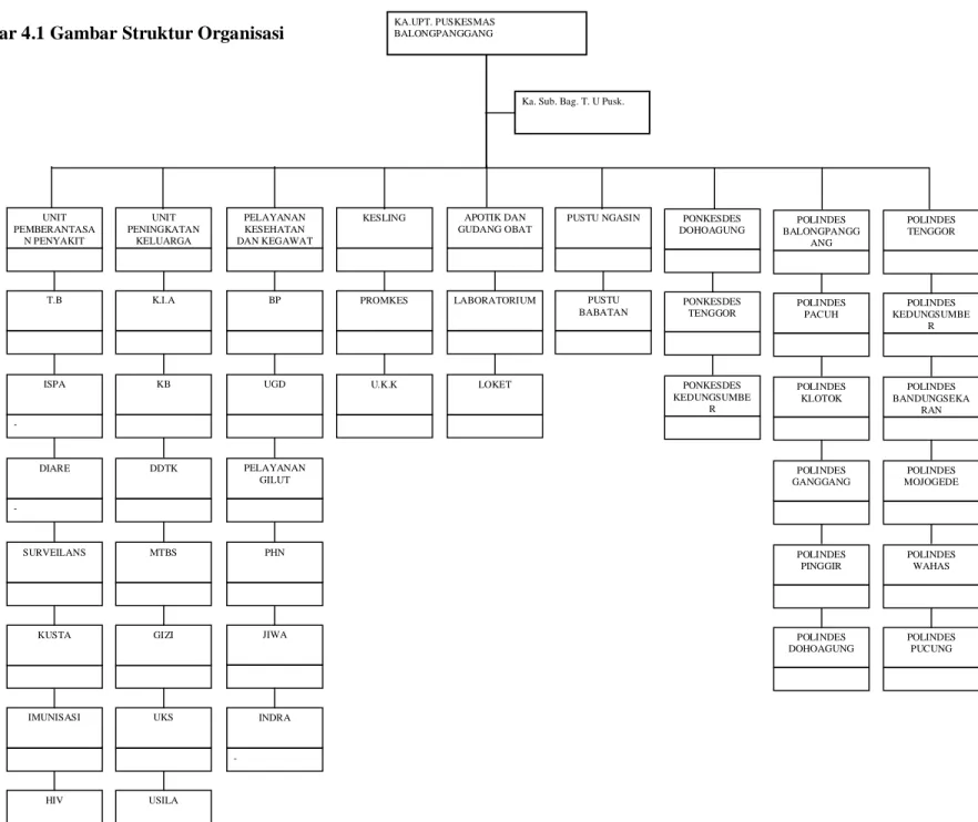 Gambar 4.1 Gambar Struktur Organisasi KA.UPT. PUSKESMAS BALONGPANGGANG 