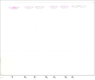 Gambar 2. Kromatogram hasil uji kualitatif rhodamin B pada sampel 