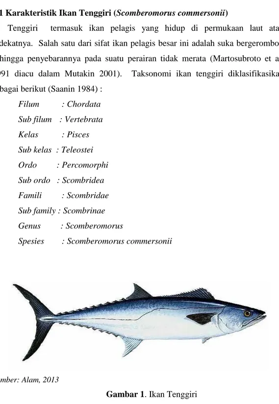 Gambar 1. Ikan Tenggiri 
