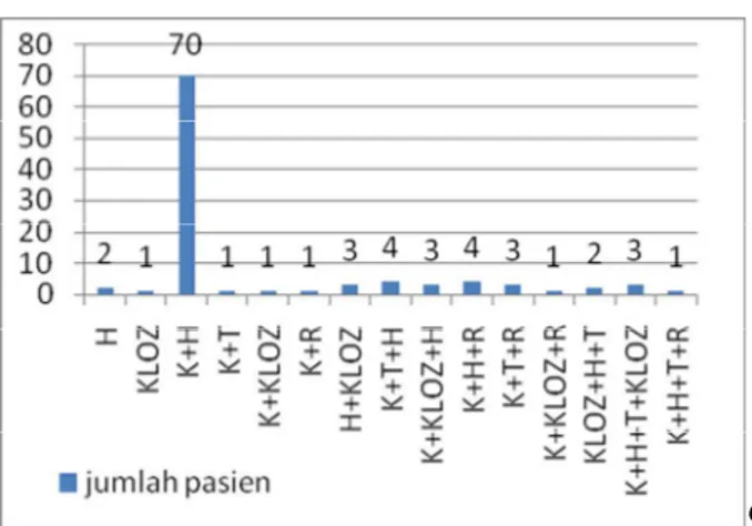 Gambar 3.  Profil  penggunaan  antipsikotik  pasien  skizofrenia  RS.  Grhasia  Yogyakarta tahun 2009