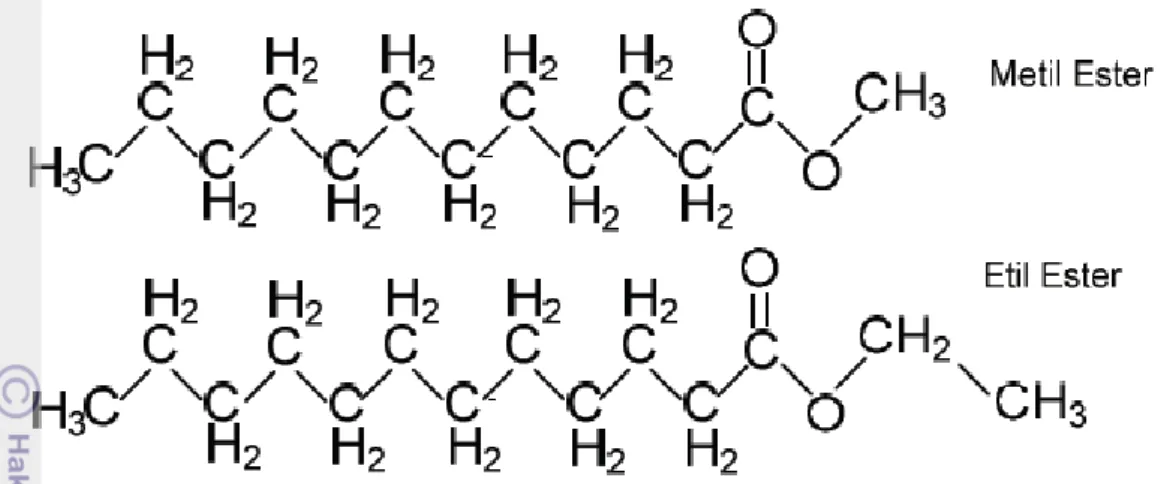 Gambar 3 Molekul biodiesel (metil ester dan etil ester) (Nazir 2011) 