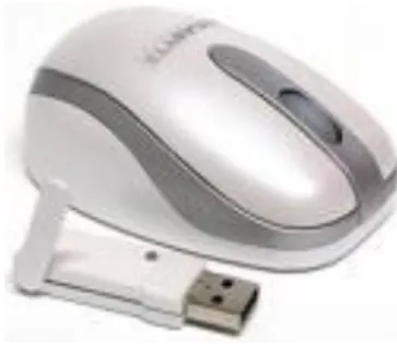 Gambar : Mouse wireless 
