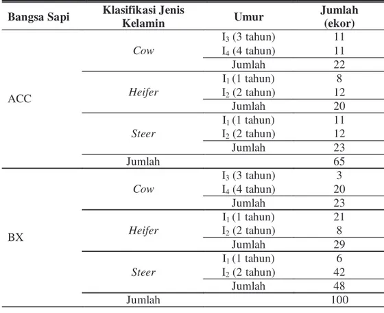 Tabel 3. Klasifikasi dan distribusi sapi yang digunakan dalam penelitian  Bangsa Sapi  Klasifikasi Jenis 