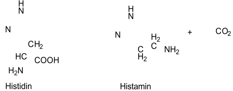 Gambar 2. Reaksi dekarboksilasi dari Histidin menjadi Histamin