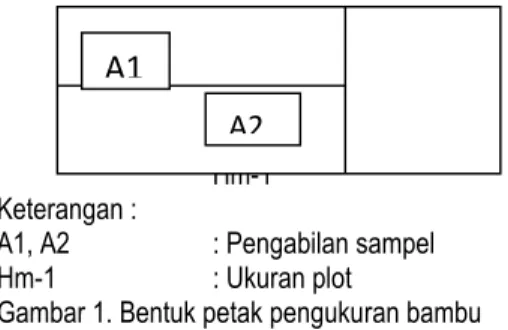Gambar 1. Bentuk petak pengukuran bambu  Pengukuran    parameter  tegakan  yang  penting  dilakukan  pada  setiap  petak  contoh  penelitian  (PCP)  dengan  metode  jalur  berpetak