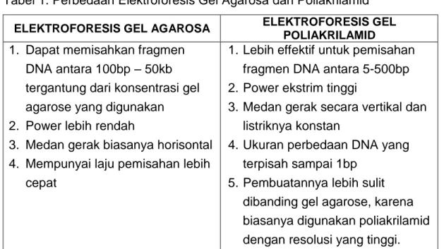 Tabel 1. Perbedaan Elektroforesis Gel Agarosa dan Poliakrilamid 