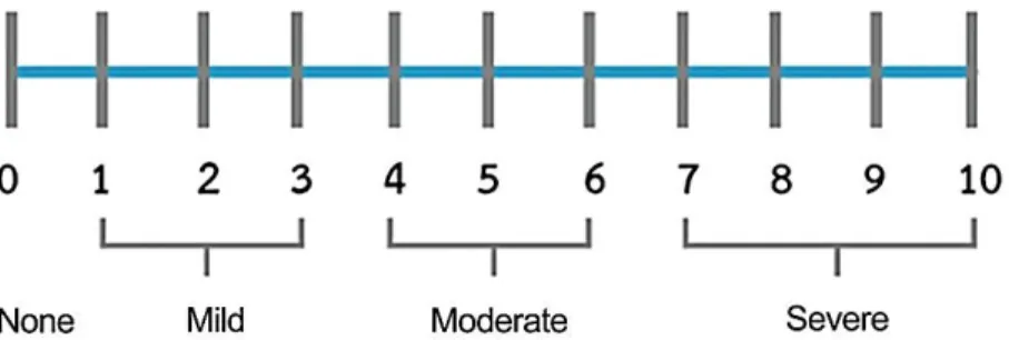 Gambar 3.2 Numeric Rating Scale 