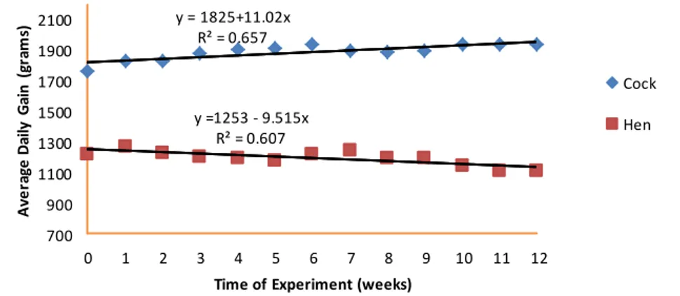 Figure 3. Body weight of Dayak local chicken during 12 weeks 