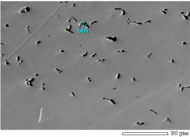 Gambar 8. Hasil pengujian SEM perbesaran 300x 