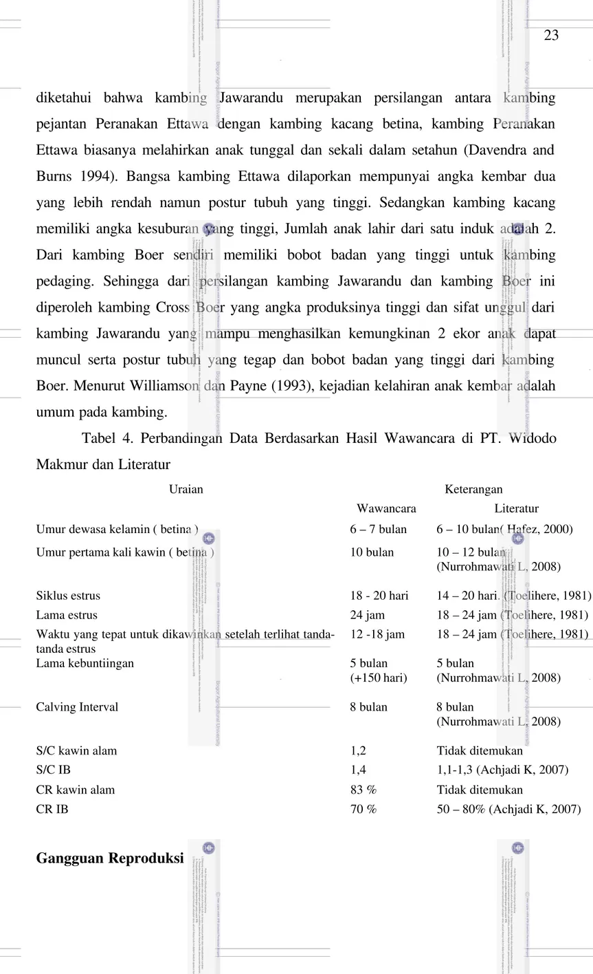 Tabel  4.  Perbandingan  Data  Berdasarkan  Hasil  Wawancara  di  PT.  Widodo Makmur dan Literatur