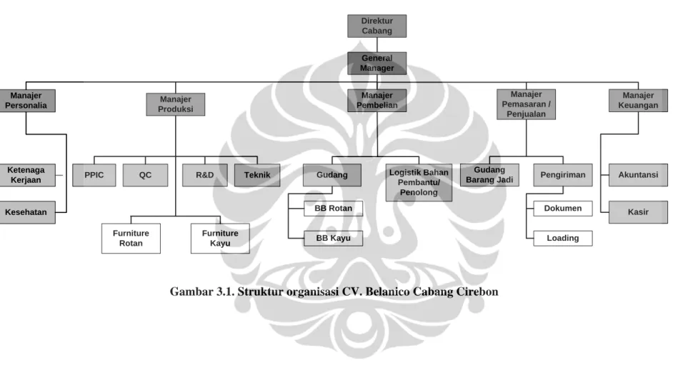 Gambar 3.1. Struktur organisasi CV. Belanico Cabang Cirebon