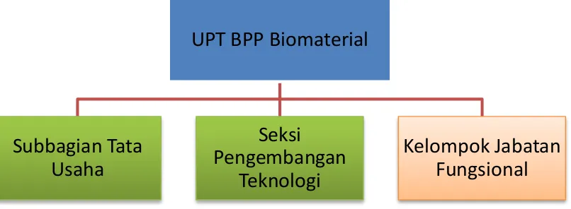 Gambar 1. Struktur organisasi UPT BPP Biomaterial 