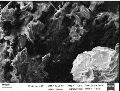 Figure 7.   SEM micrograph of tensile-fractured surface from composites by chitosan 