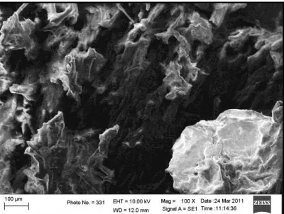 Figure 7.   SEM micrograph of tensile-fractured surface from composites by chitosan 