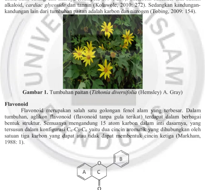 Gambar 1. Tumbuhan paitan (Tithonia diversifolia (Hemsley) A. Gray)  Flavonoid 