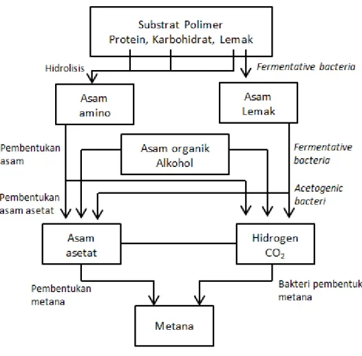Gambar 1. Proses Produksi Gas Metana (Wittmajer, 2005) 