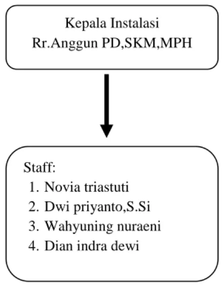 Gambar 3.4 Struktur organisasi Instalasi parsitologi 