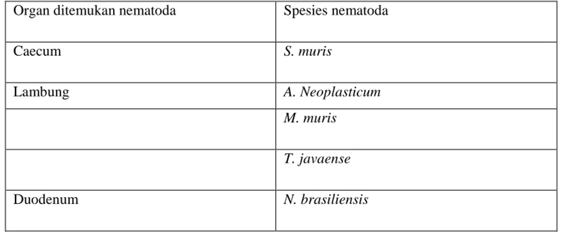 Tabel 5.2.spesies nematoda yang sering ditemukan pada tikus 