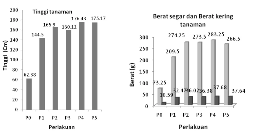 Gambar 2. Pengaruh Perlakuan Terhadap Ketersediaan N total tanah dan Serapan N 