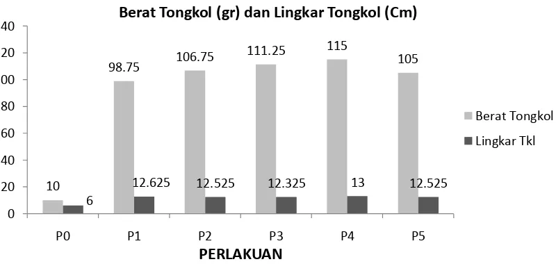 Tabel 2. Hasil Uji DMRT terhadap hasil tanaman jagung 