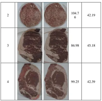 Tabel 8. Hasil pengamatan kasat mata 2 sampel citra daging Dari  20  data  sampel  citra  daging  didapatkan  3  citra  dengan  kualitas  daging  baik  yaitu  data  1,2,  dan  5