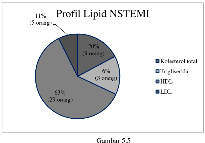        Gambar 5.5     Distribusi Frekuensi SKA Tipe NSTEMI Berdasarkan Profil Lipid 