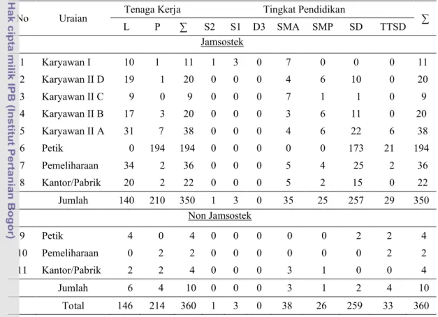 Tabel 4. Tenaga Kerja Unit Perkebunan Bedakah
