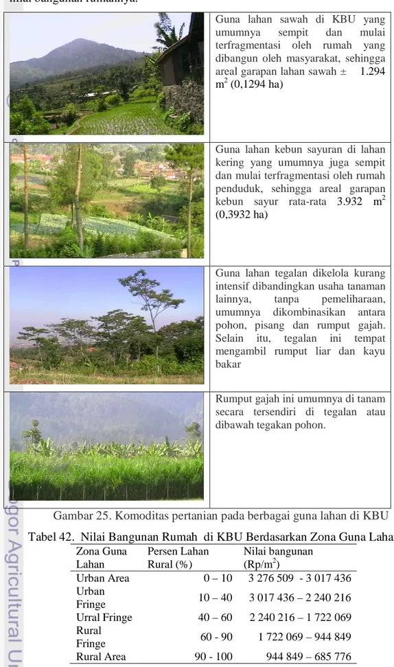Gambar 25. Komoditas pertanian pada berbagai guna lahan di KBU  Tabel 42.  Nilai Bangunan Rumah  di KBU Berdasarkan Zona Guna Lahan 