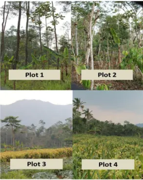 Gambar 2. Gambaran  lokasi pengamatan  (Plot 1 = perkebunan  pinus, Plot 2 =  Agroforestri, Plot 3 =  Tanaman semusim,  Plot 4 =  Tanaman  semusim +  permukiman)